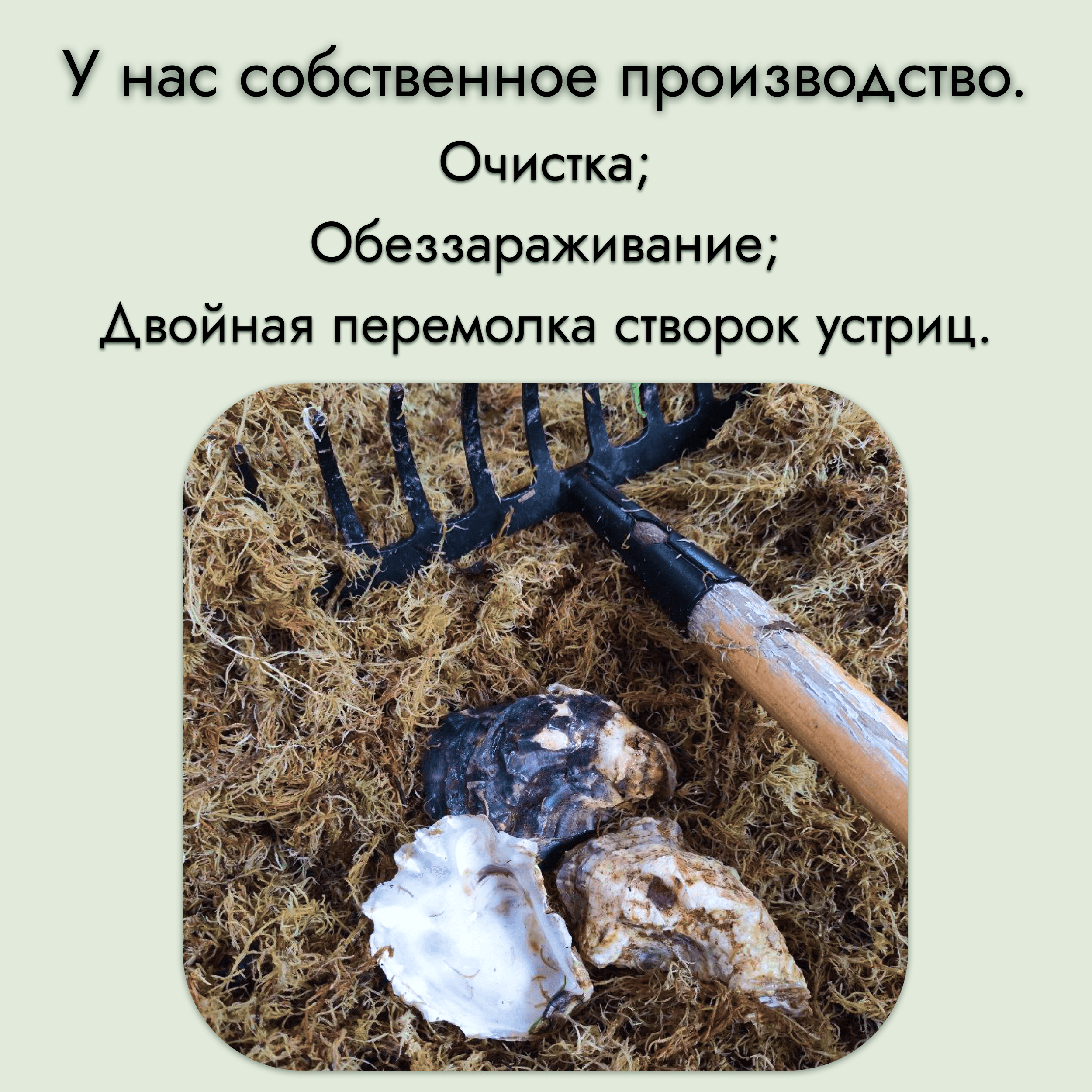 Мука из раковин устриц 200 грамм — миниатюра 2